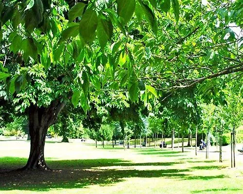 *** Hotel Morehampton Townhouse Dublin Irsko